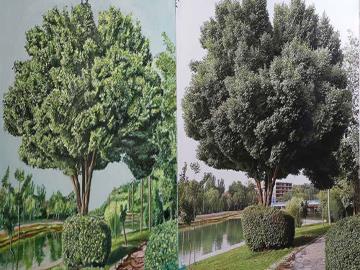 Tree painting in Isfahan